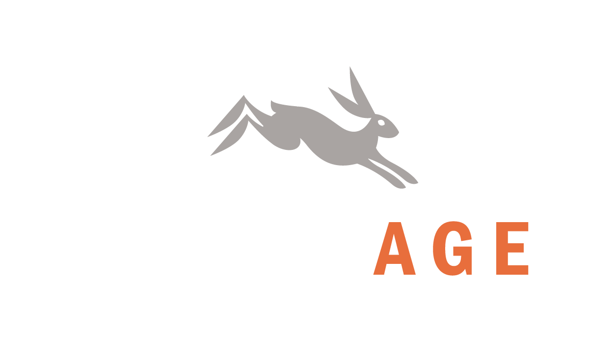 ActiveAge logo